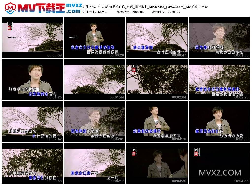 许志豪-如果没有你_台语_流行歌曲_MA407448